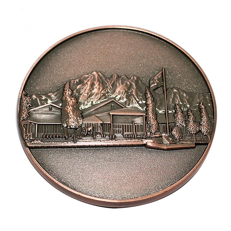 Moneda de desafío personalizada de metal paquistaní de cobre 3D